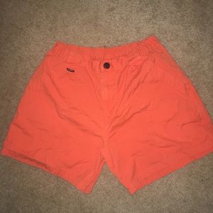 Chubbies shorts